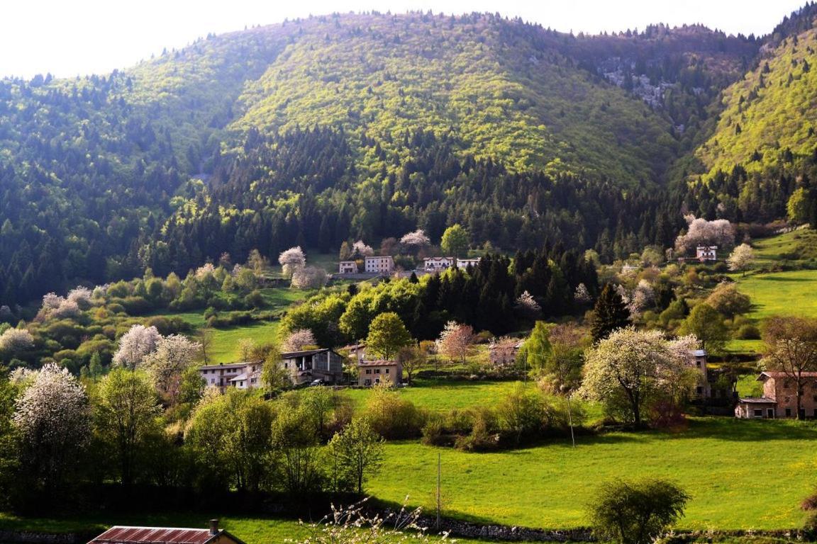 Hotel Alpi - Foza 외부 사진